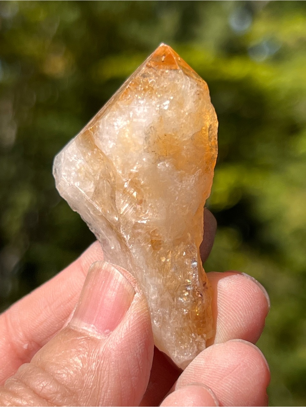 Citrine (1) point | crystal
